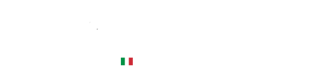 Logo Michelangelo Marble
